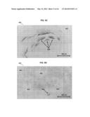 Anti-Reflective Coatings Comprising Ordered Layers of Nanowires and     Methods of Making and Using the Same diagram and image