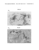 Anti-Reflective Coatings Comprising Ordered Layers of Nanowires and     Methods of Making and Using the Same diagram and image