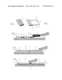 DISPLAY DEVICE WITH FLEXIBLE DISPLAY diagram and image