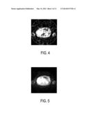 APPARATUS FOR GENERATING ASSIGNMENTS BETWEEN IMAGE REGIONS OF AN IMAGE AND     ELEMENT CLASSES diagram and image