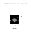 APPARATUS FOR GENERATING ASSIGNMENTS BETWEEN IMAGE REGIONS OF AN IMAGE AND     ELEMENT CLASSES diagram and image