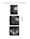 METHODS FOR METABOLIC IMAGING diagram and image