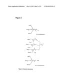 OPTICAL IMAGING PROBES diagram and image