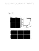 OPTICAL IMAGING PROBES diagram and image