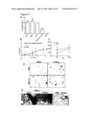 OPTICAL IMAGING PROBES diagram and image