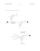 OPTICAL IMAGING PROBES diagram and image