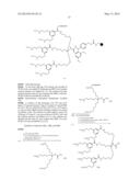 OPTICAL IMAGING PROBES diagram and image