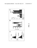 Immune Regulation diagram and image