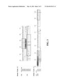 Immune Regulation diagram and image