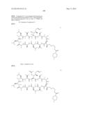 CYCLIC PEPTIDES AND USE AS MEDICINES diagram and image