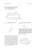 CYCLIC PEPTIDES AND USE AS MEDICINES diagram and image