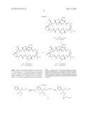 CYCLIC PEPTIDES AND USE AS MEDICINES diagram and image