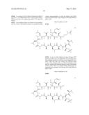 CYCLIC PEPTIDES AND USE AS MEDICINES diagram and image