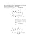 CYCLIC PEPTIDES AND USE AS MEDICINES diagram and image