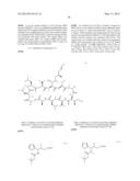 CYCLIC PEPTIDES AND USE AS MEDICINES diagram and image