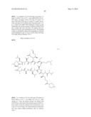 CYCLIC PEPTIDES AND USE AS MEDICINES diagram and image