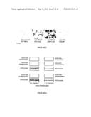 USE OF A COMBINATION OF MYXOMA VIRUS AND RAPAMYCIN FOR THERAPEUTIC     TREATMENT diagram and image