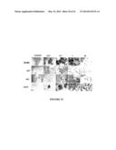 USE OF A COMBINATION OF MYXOMA VIRUS AND RAPAMYCIN FOR THERAPEUTIC     TREATMENT diagram and image