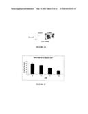 USE OF A COMBINATION OF MYXOMA VIRUS AND RAPAMYCIN FOR THERAPEUTIC     TREATMENT diagram and image