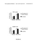 USE OF A COMBINATION OF MYXOMA VIRUS AND RAPAMYCIN FOR THERAPEUTIC     TREATMENT diagram and image