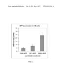 VECTORS AND METHODS FOR THE EFFICIENT GENERATION OF     INTEGRATION/TRANSGENE-FREE INDUCED PLURIPOTENT STEM CELLS FROM PERIPHERAL     BLOOD CELLS diagram and image