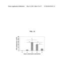 VECTORS AND METHODS FOR THE EFFICIENT GENERATION OF     INTEGRATION/TRANSGENE-FREE INDUCED PLURIPOTENT STEM CELLS FROM PERIPHERAL     BLOOD CELLS diagram and image