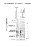 Immunological Compositions as Cancer Biomarkers and/or Therapeutics diagram and image