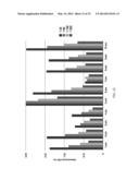 Immunological Compositions as Cancer Biomarkers and/or Therapeutics diagram and image