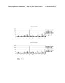 Immunological Compositions as Cancer Biomarkers and/or Therapeutics diagram and image