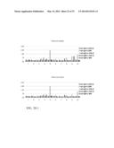 Immunological Compositions as Cancer Biomarkers and/or Therapeutics diagram and image