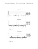 Immunological Compositions as Cancer Biomarkers and/or Therapeutics diagram and image