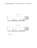 Immunological Compositions as Cancer Biomarkers and/or Therapeutics diagram and image