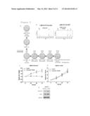 KRAS MUTATIONS AND RESISTANCE TO ANTI-EGFR TREATMENT diagram and image