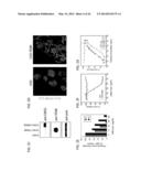 TEM8 ANTIBODIES, CONJUGATES THEREOF, AND THEIR USE diagram and image