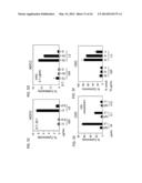 TEM8 ANTIBODIES, CONJUGATES THEREOF, AND THEIR USE diagram and image