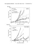 TEM8 ANTIBODIES, CONJUGATES THEREOF, AND THEIR USE diagram and image