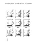 TEM8 ANTIBODIES, CONJUGATES THEREOF, AND THEIR USE diagram and image