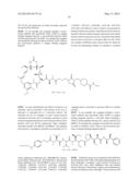 TEM8 ANTIBODIES, CONJUGATES THEREOF, AND THEIR USE diagram and image