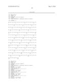 TEM8 ANTIBODIES, CONJUGATES THEREOF, AND THEIR USE diagram and image