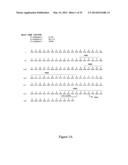 HUMAN MONOCLONAL ANTIBODIES TO O8E diagram and image