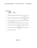 HUMAN MONOCLONAL ANTIBODIES TO O8E diagram and image