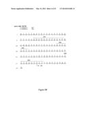 HUMAN MONOCLONAL ANTIBODIES TO O8E diagram and image