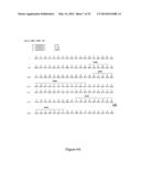 HUMAN MONOCLONAL ANTIBODIES TO O8E diagram and image