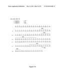 HUMAN MONOCLONAL ANTIBODIES TO O8E diagram and image