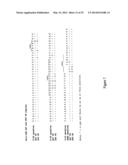 HUMAN MONOCLONAL ANTIBODIES TO O8E diagram and image