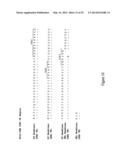 HUMAN MONOCLONAL ANTIBODIES TO O8E diagram and image