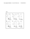 BONE MARROW-DERIVED HEMATOPOIETIC PROGENITOR CELLS AND ENDOTHELIAL     PROGENITOR CELLS AS PROGNOSTIC INDICATORS FOR CANCER diagram and image