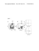 BONE MARROW-DERIVED HEMATOPOIETIC PROGENITOR CELLS AND ENDOTHELIAL     PROGENITOR CELLS AS PROGNOSTIC INDICATORS FOR CANCER diagram and image