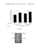 VACCINE AND METHOD FOR TREATMENT OF NEURODEGENERATIVE DISEASES diagram and image