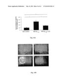 VACCINE AND METHOD FOR TREATMENT OF NEURODEGENERATIVE DISEASES diagram and image